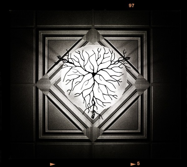 A ceiling light with ornate housing